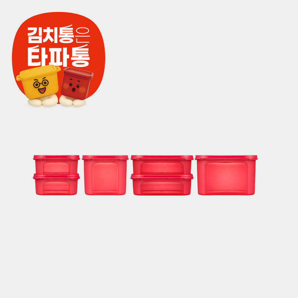 김치 클리어 베이직세트 (6개)