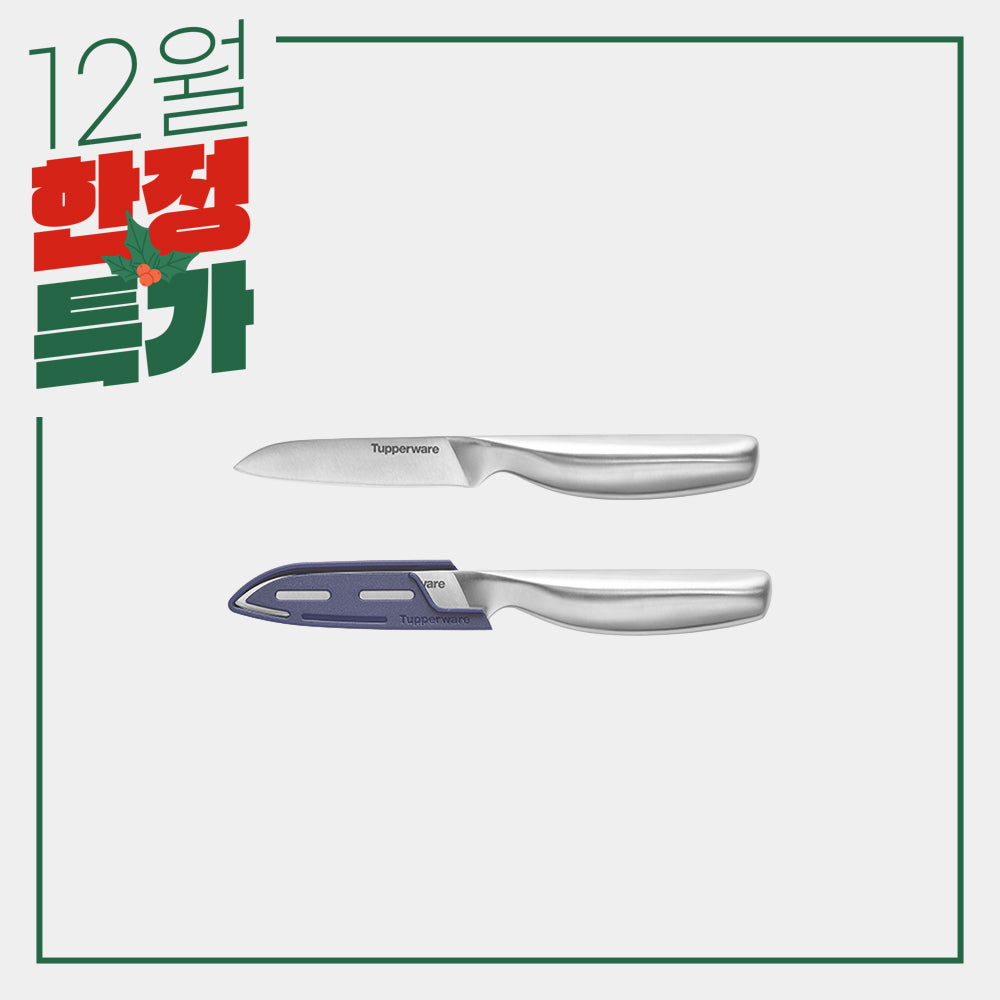 마스터 미니과도