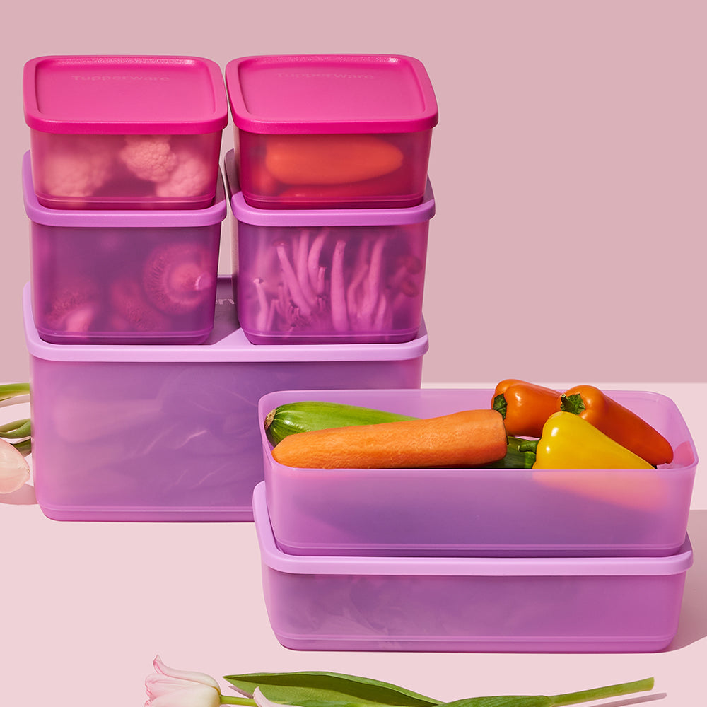 [블프 특가] 싱싱 블록 정사각 세트 (8개)